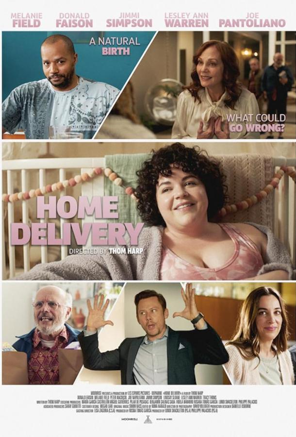 Роды на дому (2025)